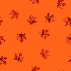 Fototapeta premium seamless pattern yellow maple leaf cartoon. tree foliage, color season, orange brown yellow maple leaf sign vector
