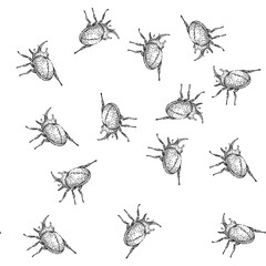 Naklejka premium seamless pattern Rhinoceros beetle line art illustration showing detailed black and white outline and horned profile, scientific style vector sketch ideal for entomology, design and icons