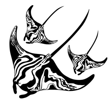 black and white stingray tattoo