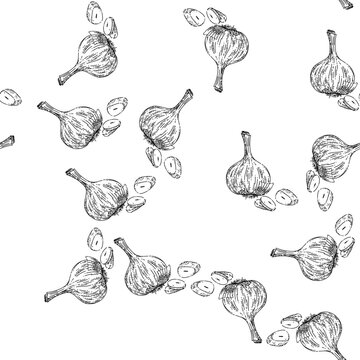 seamless pattern dry head of garlic sketch hand drawn vector bulb bunch, clove vegetable