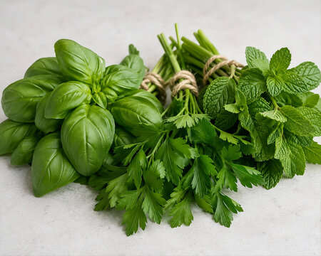 Fresh vibrant herb bunch with detailed natural texture and vibrant green color, soft natural lighting emphasizing culinary quality, professional ingredient photography