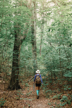 Rear view of a woman hiker walking away along a narrow forest trail into lush green woodland. Adventure concept.