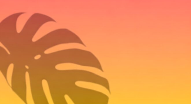 Shadow of a monstera tropical leaf on a soft orange and yellow gradient background