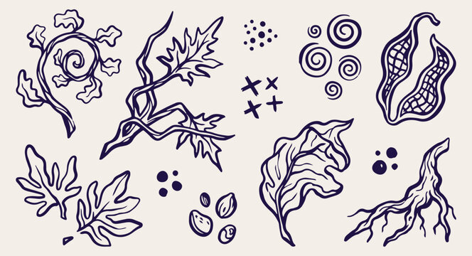 wild vine branch leaf thorns pattern, creepy dark vine doodle sketch, mystic thorn bush illustration, thorny plant vector background, mysterious fantasy vine design, hand drawn thorn symbols, retro pu