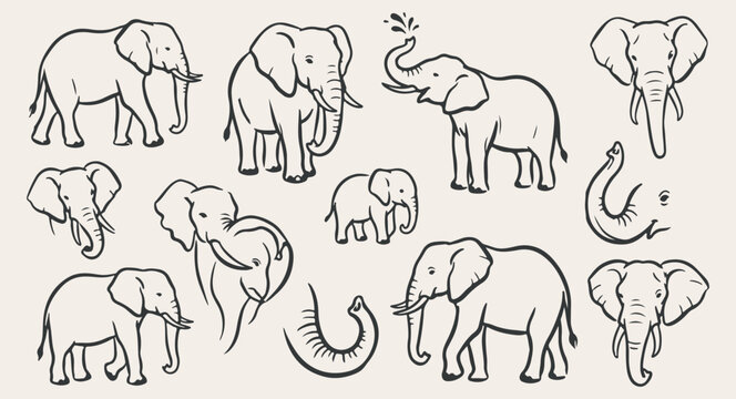 cute wild elephants herd wildlife safari vector, baby elephant mother nature animal pattern, African savannah wildlife hand drawn sketch, big majestic elephant wildlife background design, zoology anim