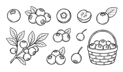 Naklejka premium Blueberry Hand-Drawn Sketch Vector Set – Black and White Fruit Outline Line Art