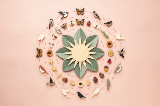 Circular Ecosystem Diagram and Biodiversity Food Web with Nature Symbols and Wildlife on Pink Background