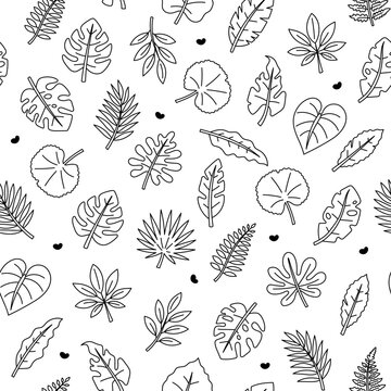 Tropical leaf seamless pattern set featuring monstera fern palm schefflera hearts dots foliage fronds branches stems plants botanical repeat print