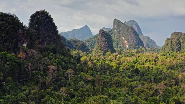 Khao Sok National Park lush rainforest covering dramatic karst mountains and towering limestone cliffs under a cloudy sky. Wild nature jungle landscape. Travel and explore Thailand. Aerial drone shot