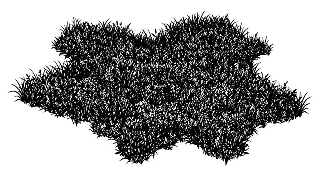 Cad tree lines Animal Skin Fur Rug Vector Set. Black and White Exotic Cowhide Texture. Irregular Shape Graphic for Industrial Design and Fashion vactor