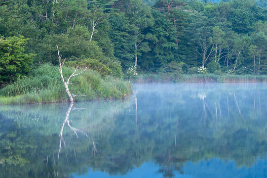 朝もや」の写真素材 | 4,367件の無料イラスト画像 | Adobe Stock