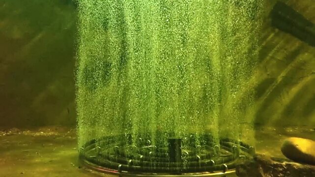 Underwater view of a circular aeration diffuser releasing a dense stream of air bubbles in murky green water. System for oxygenation and aquatic life maintenance in a large aquarium or a fish pond.