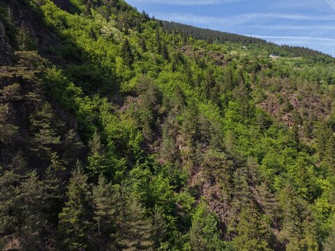 Breathtaking Aerial View of Ma&ccedil;ka's Mountain Landscapes and Lush Green Valleys, Trabzon, T&uuml;rkiye