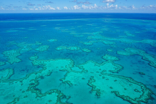 Great Barrier Reef aerial view showing vibrant coral ecosystem