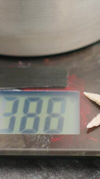 Close up of digital kitchen scale displaying changing weight measurements as unseen person presses tare button. starfish rests on glass surface with soft lighting highlighting details