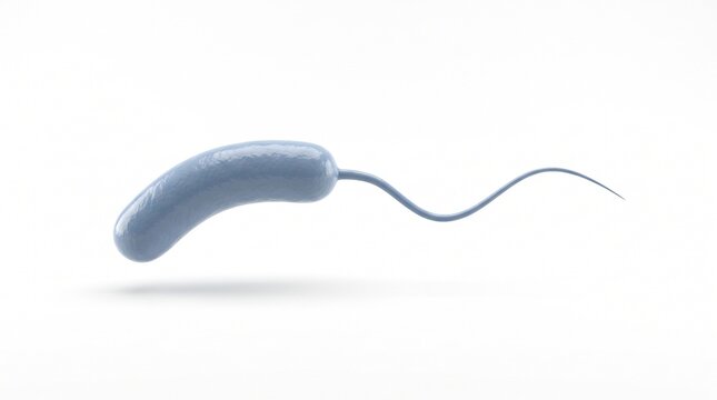 Vibrio cholerae comma shape bacteria portrait white