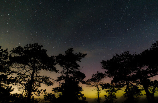 Night in a swamp in Estonia