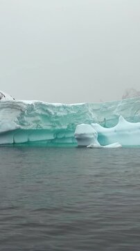 Explore the stunning beauty of colossal icebergs floating serenely in Antarctica's frigid waters. Watch as the icy giants reflect shades of blue and green in a mystical landscape.