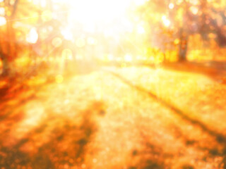 Naklejka premium fall leaves in park, autumn blurred natural background