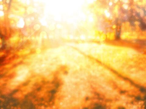 fall leaves in park, autumn blurred natural background