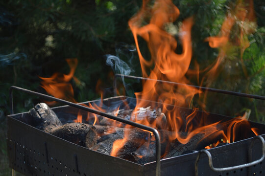 Burning charcoal logs with vibrant orange flames and smoke rising from an open rectangular metal barbecue grill outdoors surrounded by green foliage