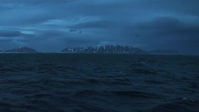 An expansive view from a ship crossing the Arctic Ocean at twilight. Jagged, snow-dusted mountains loom under a cloudy sky. The dark, choppy waters briefly reveal a marine giant's elusive presence.