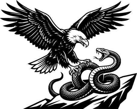 Detailed vector illustration of a powerful eagle attacking a coiled snake in black and white
