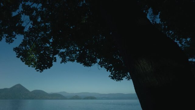 Silhouette of a large tree against a blue sky, with Lake Toya and Nakajima Island in the background.
