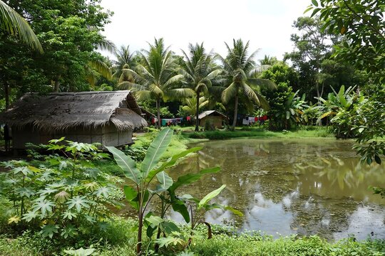Small wooden hut near a quiet pond in a tropical lush green garden