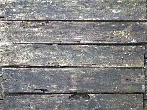 Old weathered wooden planks showing textured grain and lichen growth.