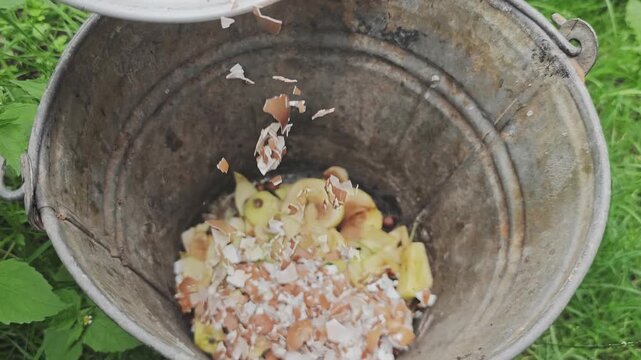 Closeup of a farmer throwing crushed eggshells into a rustic metal bucket with organic food waste for making natural fertilizer compost