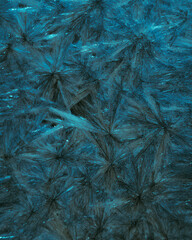 Obraz premium Deep dark blue mineral crystal macro texture abstract background