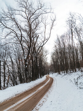 Winding dirt road through snowy winter forest with bare trees. Curves of country road in snow landscape.