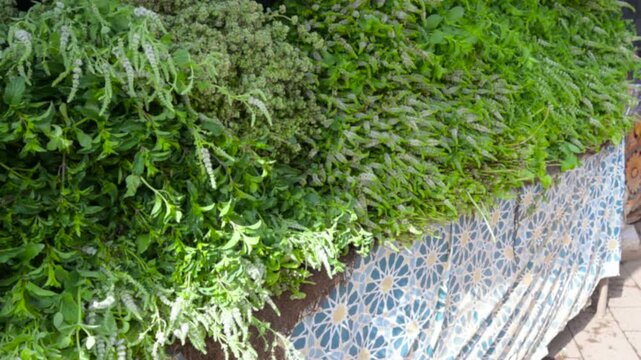 Marrakech, morocco. August 8, 2026. Bunches of fresh green mint for sale at a traditional souk market stall in marrakech, morocco. Typical scene of local trade and commerce