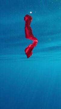 Blood-colored sea slug Spanish dancer swims under top blue water reflecting in it, at daytime in sunshine. Dorid nudibranch Hexabranchus sanguineus swimming in sea mirrored in surface of water
