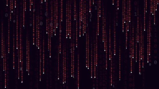 Digital Rain of Red Binary Code Falling Down on a Black Background for Technology Concept