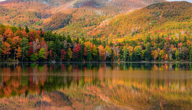湖の湖面に映える紅葉した森林