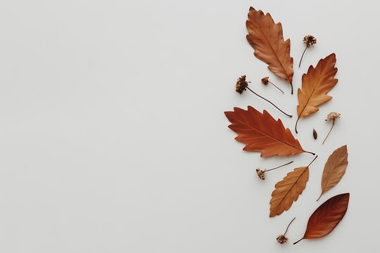 A vertical arrangement of colorful autumn oak leaves and small dark berries on a plain white background