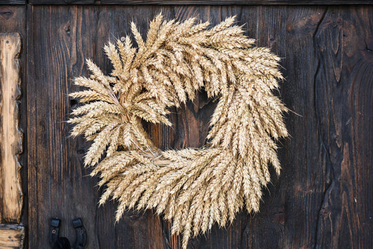 Rustic wreath made of golden wheat stalks hanging old wooden door of country house, traditional harvest decoration and autumn farmhouse decor.