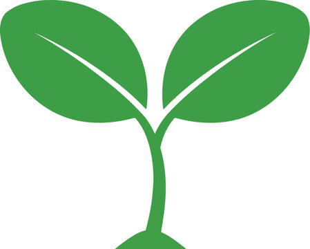 Simple green sprout seedling icon representing nature and growth