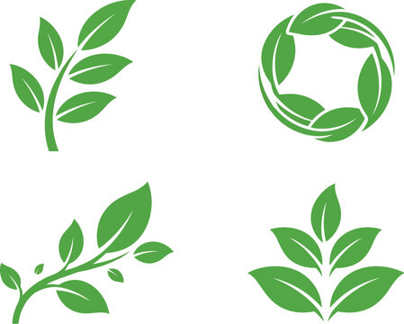 Set of green leaf icons and nature plant branches for eco design and organic branding elements