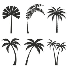 Fototapeta premium Black and white illustration of tropical palm leaves.