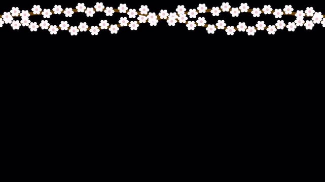 Sakura flower branch growing border on transparent background. Japanese cherry blossom frame overlay element.