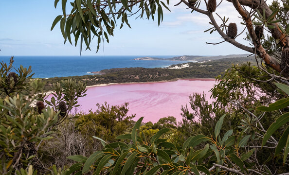 Natural Pink Waters and Coastal Vegetation of Lake Hillier