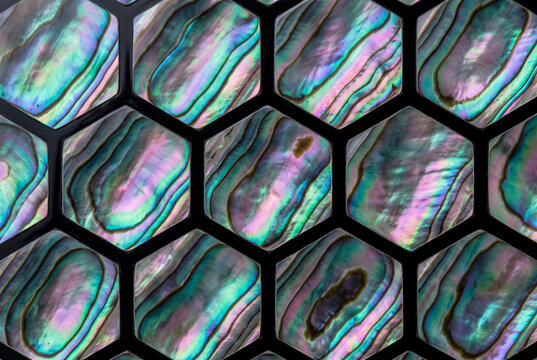 Raden Kikkou Hexagon Mother-of-Pearl Inlay Macro