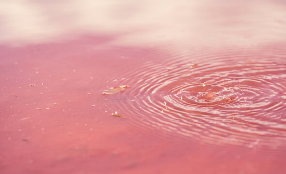 Abstract Natural Texture of Pink Lake Hillier Water