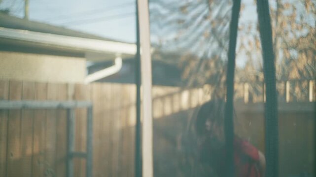 Boy bouncing on a backyard trampoline with safety net enclosure surrounded by autumn trees