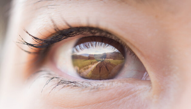 Close-Up of an Eye Reflecting a Scenic Landscape