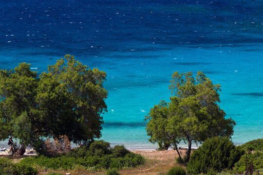 Agia Dynami Beach on Chios Island with Turquoise Water and Tamarisk Trees