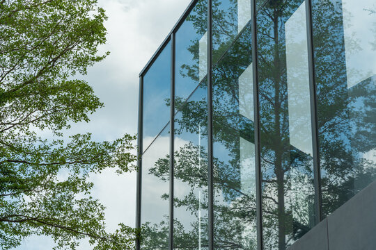 Tree Reflections on the Glass Facade of a Modern Building
